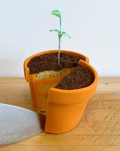 there is a small potted plant with dirt on it and a knife next to it