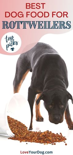 a dog eating food out of a bowl with the words best dog food for rottweilers