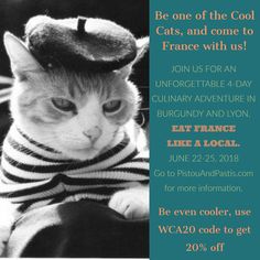 a cat wearing a hat and sweater with the caption be one of the cool cats, and come to france with us