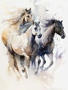 three horses running in the wind with their heads turned to look like they are galloping