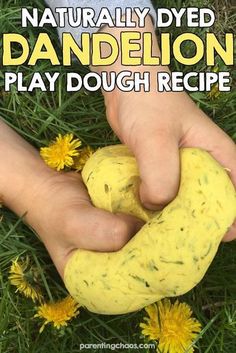 a person holding a plant with dandelion in the background and text overlay that reads, naturally dyed dandelion play dough recipe