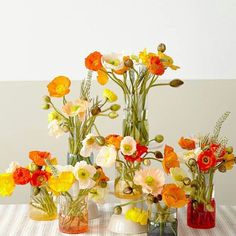 several vases filled with different types of flowers on a striped tablecloth covered table