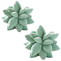 PRICES MAY VARY. 🌵 Premium Material: Our 3D succulents cactus pillow is made of super soft microplush and stuffed with 100% polyester. Cuddle this succulent plush while slouching on your sofa or couch and feel closer to nature. 🌵 Plant Shaped Pillow Dimensions: 9 - 10 inches wide and approximately 4inches tall when laid flat. But when the pillow is broken in (flattened out by use), the flower gets a little bit wider and takes on it's true shape. Just like a real succulent! 🌵 Perfect Home Deco Room Decor Dark Green, Succulent Pillows, Cute Throw Pillows, Succulent Pillow, Leaf Blanket, Novelty Decor, Room Decor Dark, Cactus Pillow, Leaves Pillow