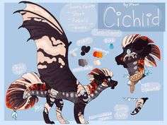 a drawing of a dragon with different types of wings and tail shapes, including the name cichlid