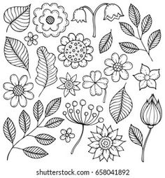 the flowers and leaves are drawn by hand on a white background