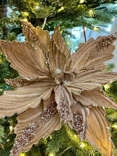 a close up of a christmas ornament on a tree