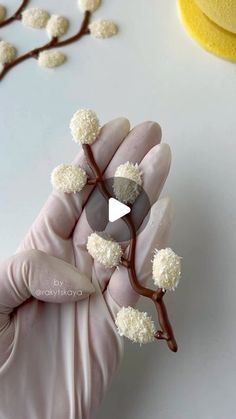 a hand holding a branch with white flowers on it next to some yellow sponges