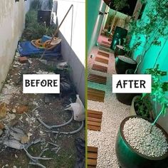 before and after photos of an outdoor area with plants growing in pots, on the ground