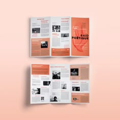 an orange and white brochure is displayed on a pink background with the words,'rapid pottiquee '