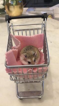 a small hamster in a shopping cart with pink blankets on it's sides