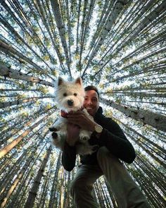 a man holding a small white dog in his arms while looking up into the sky