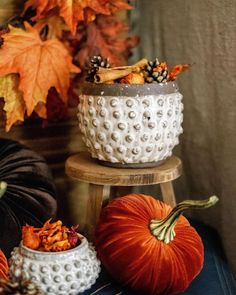 pumpkins and gourds are sitting on small stools in front of fall leaves