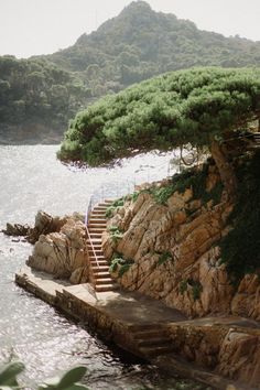 the stairs lead down to the beach from the water's edge, with trees on either side