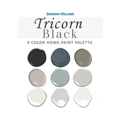 the color scheme for this paint palette is black, white, gray, and grey