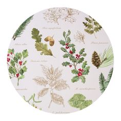 a white plate topped with lots of different types of leaves and berries on it's surface