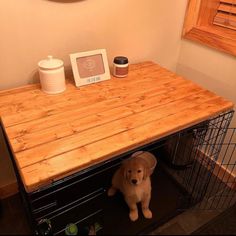 a dog is sitting under a table with a basket underneath it