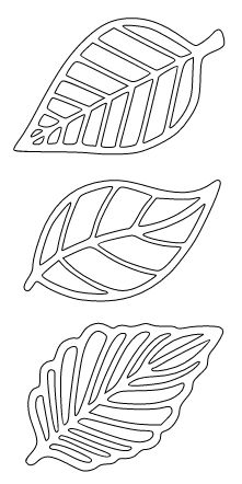 three different leaf shapes on a white background