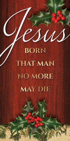 a christmas card with holly berries and the words jesus born that man no more may die