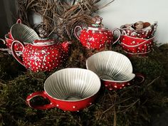 red and white tea set sitting on top of moss covered ground next to wall with plants