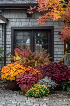 a house that has some plants in front of it