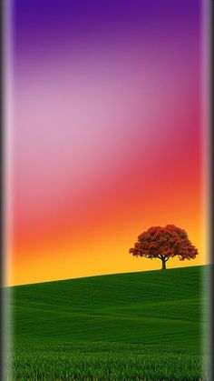 a lone tree stands in the middle of a grassy field with a sunset behind it