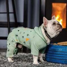 a small dog standing next to a pile of tires on the floor in front of a fire place