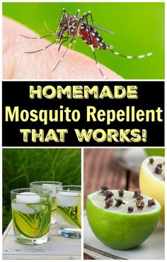 mosquito repellent that works