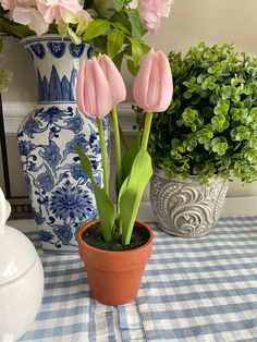 pink tulips in a pot on a blue and white checkered tablecloth