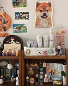 a dog is sitting on top of a book shelf in front of a wall with pictures and magnets