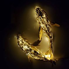 an illuminated letter made out of woven material in the shape of a fish on a black background