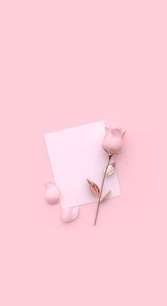 a pink rose on top of a white piece of paper next to a pair of scissors