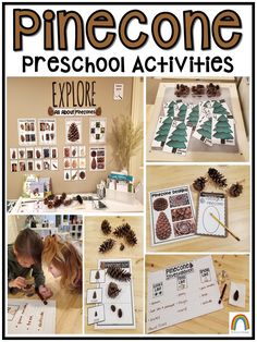 pinecone preschool activities for the classroom