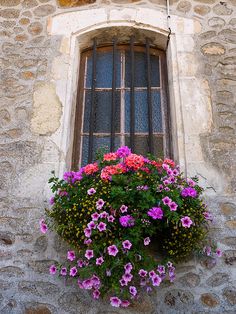 a window box filled with pink and purple flowers