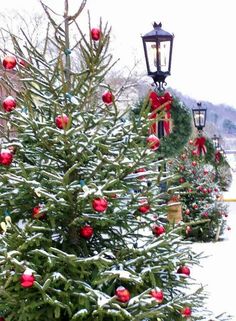 christmas trees are lined up on the sidewalk in front of a street light and lamp post