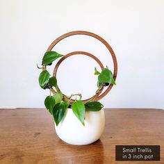 a white vase with some green plants in it