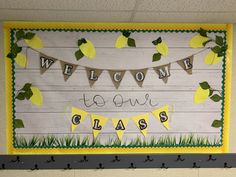 welcome to our class bulletin board with lemons and grass