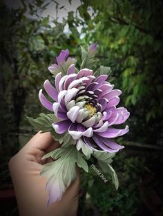 a person holding a purple and white flower in their hand