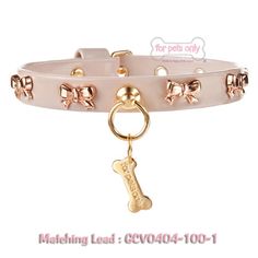 a dog collar with a bone charm on it's side and a gold plated key