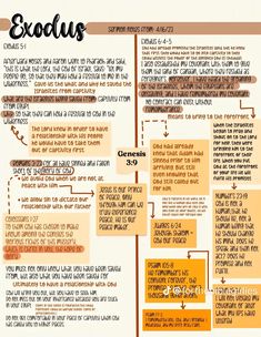 an exodus diagram with some words on it