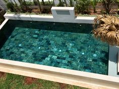 a small pool in the middle of a yard with grass and plants on either side