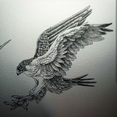 a drawing of an eagle flying in the air