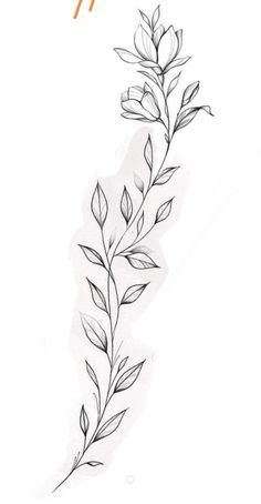 #tattoo #handtattoo #tattoos Flower Vine Tattoo Stencil, Vine Tattoo Around Ankle, Wrap Around Vine Tattoo Stencil, Vines Tattoo Stencil, Lavender Wrap Around Tattoo, Vine Leaf Tattoo, Tattoo Ideas Back Of Arm, Branch Tattoo Design, Vines Tattoo Design