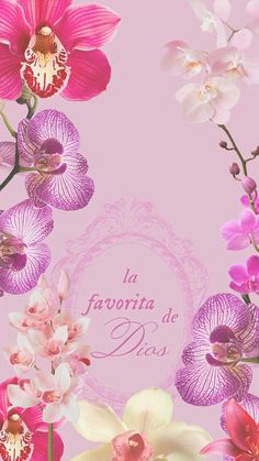 a pink background with flowers and the words la favorita de des