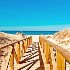 a wooden walkway leading to the beach with sand dunes in the background on a sunny day