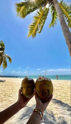 two coconuts being held up in front of the camera on a beach with palm trees