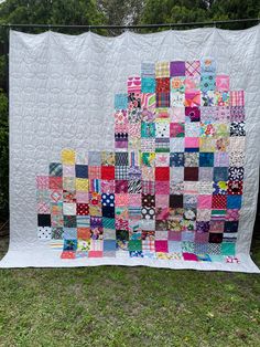 a large quilt is hanging on a clothesline in front of some bushes and trees