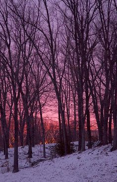 the sun is setting behind some trees in the snow