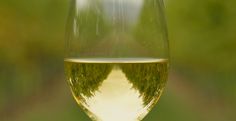 a wine glass filled with white wine sitting on top of a table