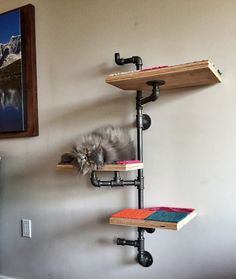 a cat laying on top of a wooden shelf