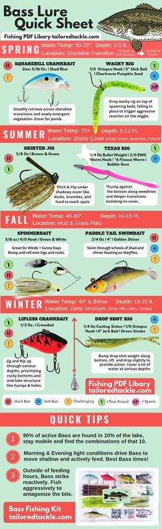 the different types of fishing lures and how to use them in your boat or boat